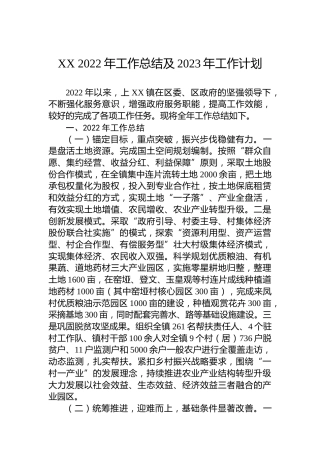 XX 2022年工作总结及2023年工作计划