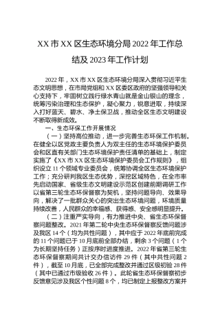 XX市XX区生态环境分局2022年工作总结及2023年工作计划