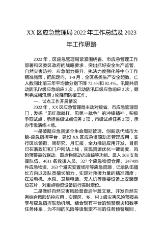 XX区应急管理局2022年工作总结及2023年工作思路