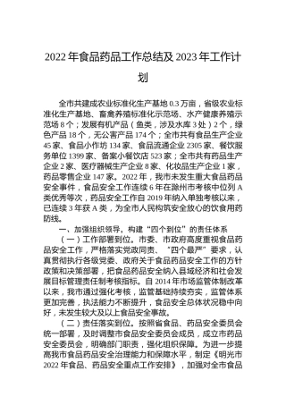 2022年食品药品工作总结及2023年工作计划