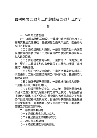 县税务局2022年工作总结及2023年工作计划