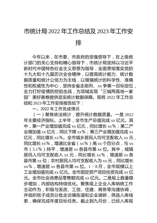 市统计局2022年工作总结及2023年工作安排
