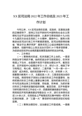 XX区司法局2022年工作总结及2023年工作计划