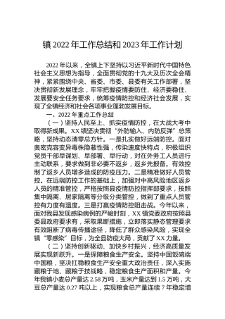 X镇2022年工作总结和2023年工作计划