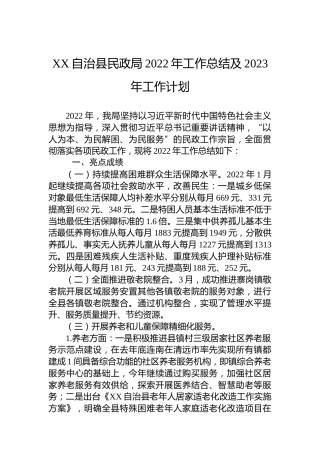 XX自治县民政局2022年工作总结及2023年工作计划