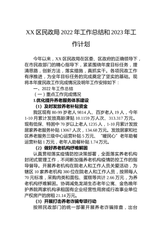 XX区民政局2022年工作总结和2023年工作计划
