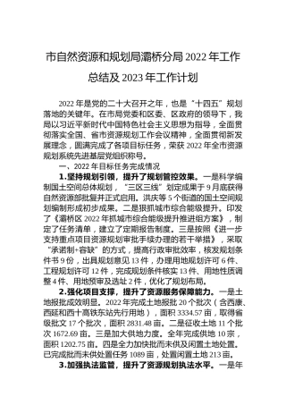 市自然资源和规划局灞桥分局2022年工作总结及2023年工作计划