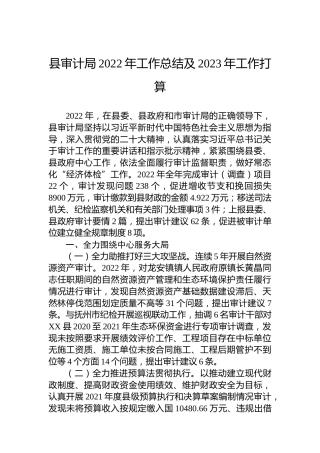 县审计局2022年工作总结及2023年工作打算