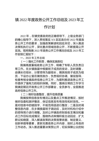 镇2022年度政务公开工作总结及2023年工作计划
