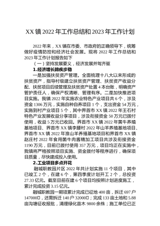 XXX镇2022年工作总结和2023年工作计划