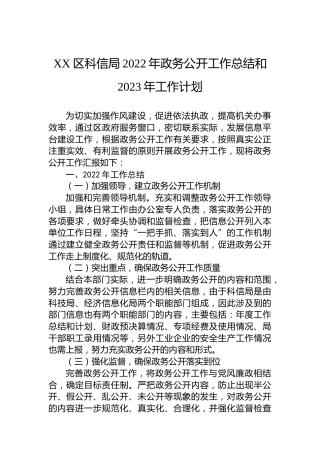 XX区科信局2022年政务公开工作总结和2023年工作计划