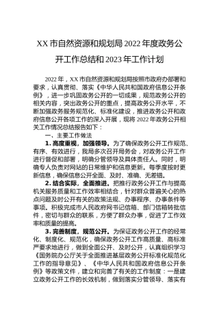 XX市自然资源和规划局2022年度政务公开工作总结和2023年工作计划