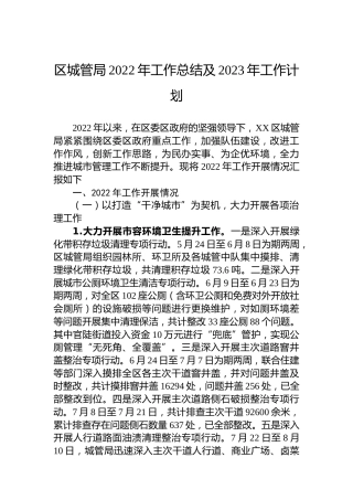区城管局2022年工作总结及2023年工作计划