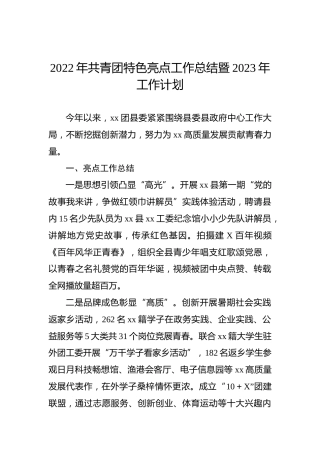 2022年共青团特色亮点工作总结暨2023年工作计划