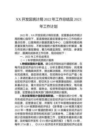 XX开发区统计局2022年工作总结及2023年工作计划