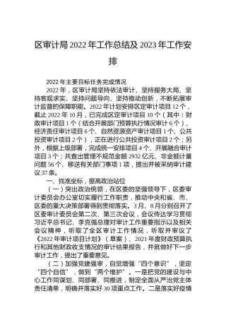 区审计局2022年工作总结及2023年工作安排
