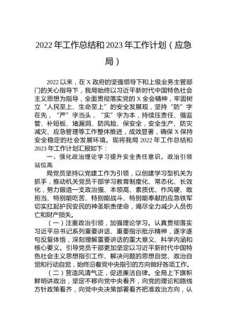2022年工作总结和2023年工作计划（应急局）