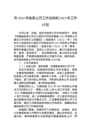 市2022年政务公开工作总结和2023年工作计划