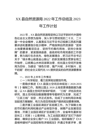 XX县自然资源局2022年工作总结及2023年工作计划