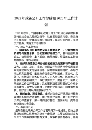 2022年政务公开工作总结和2023年工作计划
