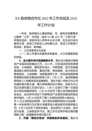 XX县供销合作社2022年工作总结及2023年工作计划