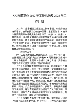 XX市爱卫办2022年工作总结及2023年工作计划