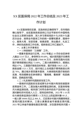 XX区医保局2022年工作总结及2023年工作计划
