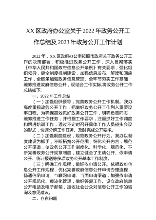 XX区政府办公室关于2022年政务公开工作总结及2023年政务公开工作计划