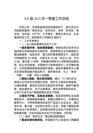 XX县2025年一季度工作总结(1)