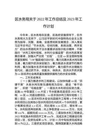 区水务局关于2022年工作总结及2023年工作计划
