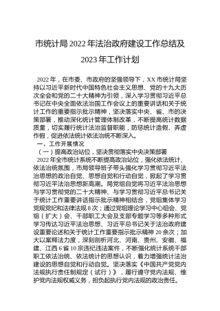 市统计局2022年法治政府建设工作总结及2023年工作计划