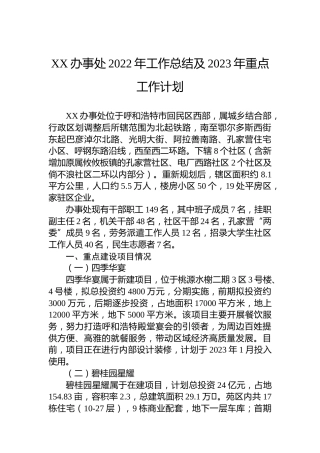 XX办事处2022年工作总结及2023年重点工作计划