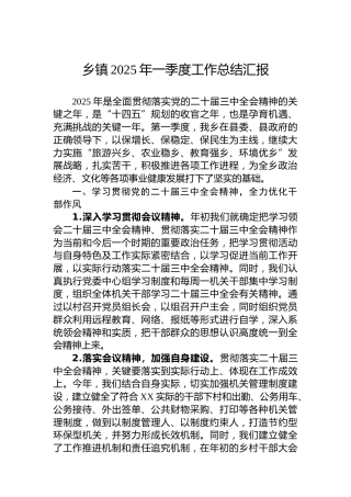 乡镇2025年一季度工作总结汇报