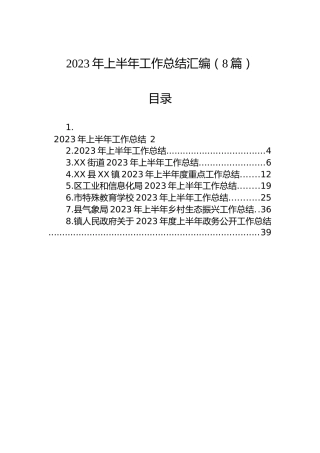 2023年上半年工作总结汇编（8篇）（2）