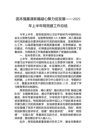 固本强基谋新篇凝心聚力促发展——2025年上半年局党建工作总结