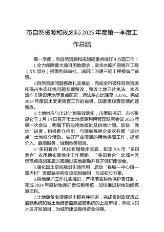 市自然资源和规划局2025年度第一季度工作总结