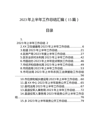 2023年上半年工作总结汇编（15篇）