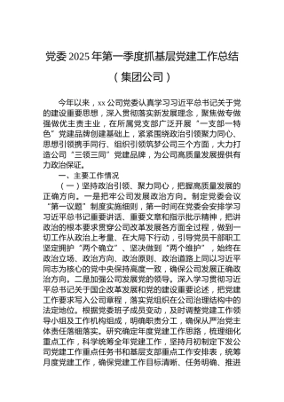 党委2025年第一季度抓基层党建工作总结（集团公司）