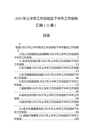 2023年上半年工作总结及下半年工作安排汇编（12篇）