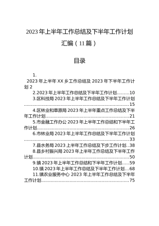 2023年上半年工作总结及下半年工作计划汇编（11篇）