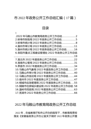 市2022年政务公开工作总结汇编（17篇）