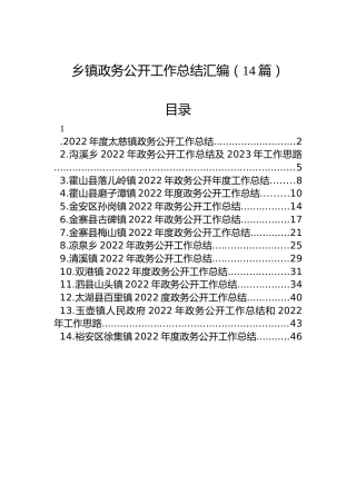 2022年乡镇政务公开工作总结汇编（14篇）