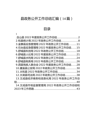 2022年县政务公开工作总结汇编（14篇）