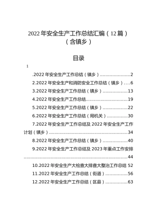 2022年安全生产工作总结汇编（12篇）（含镇乡）