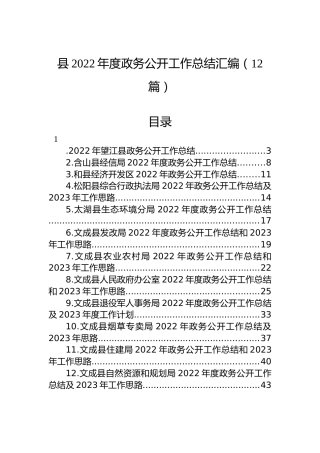 县2022年度政务公开工作总结汇编（12篇）