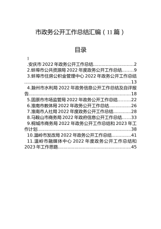 2022年市政务公开工作总结汇编（11篇）