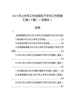 2023年上半年工作总结和下半年工作思路汇编（9篇）（含镇乡）