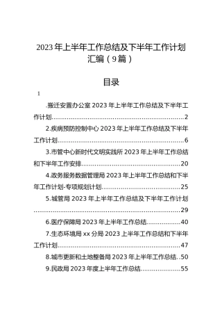 2023年上半年工作总结及下半年工作计划汇编（9篇）