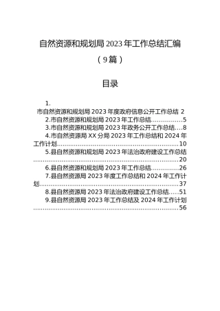自然资源和规划局2023年工作总结汇编（9篇）