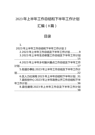 2023年上半年工作总结和下半年工作计划（8篇）